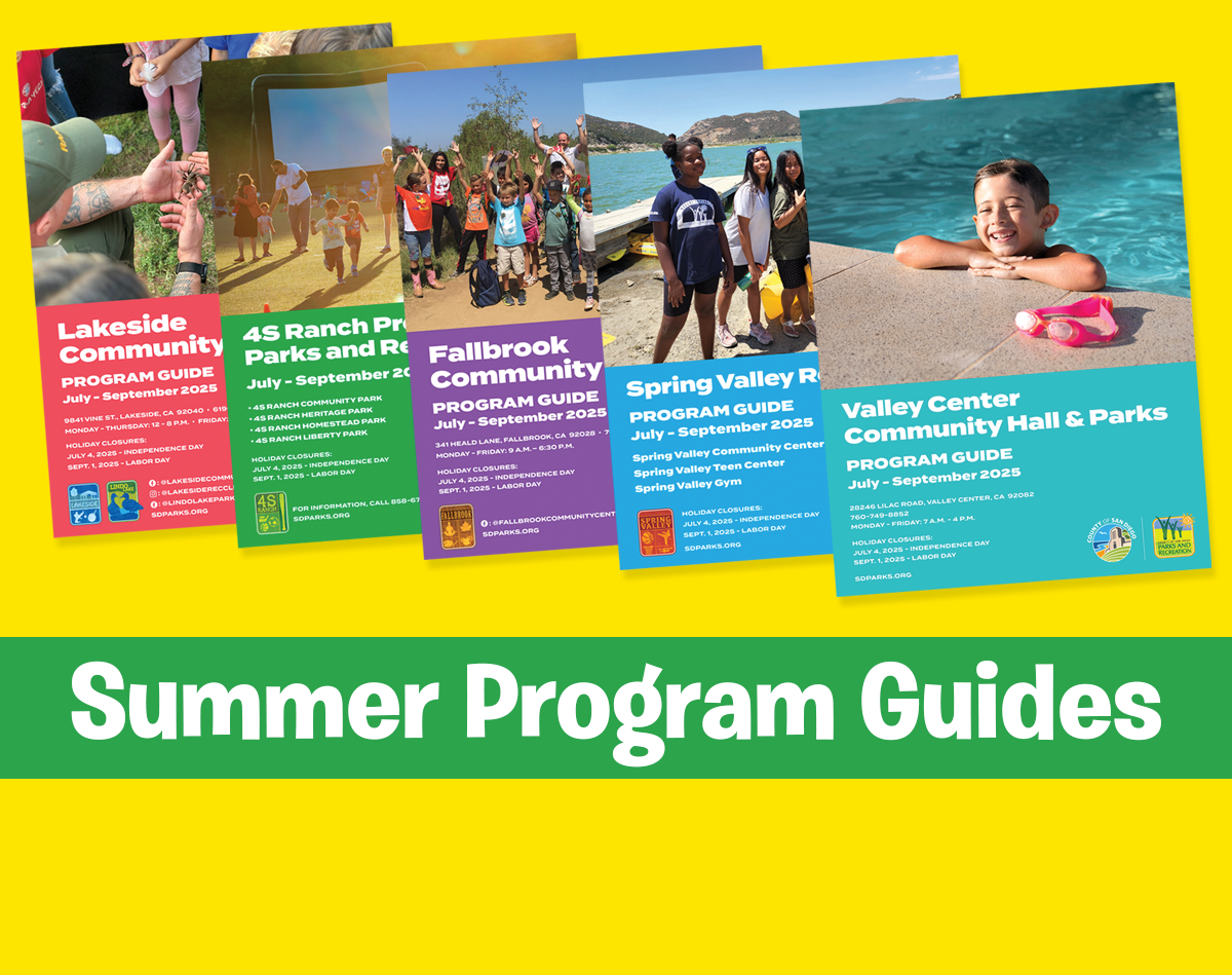 Summer 2025 Program Guides