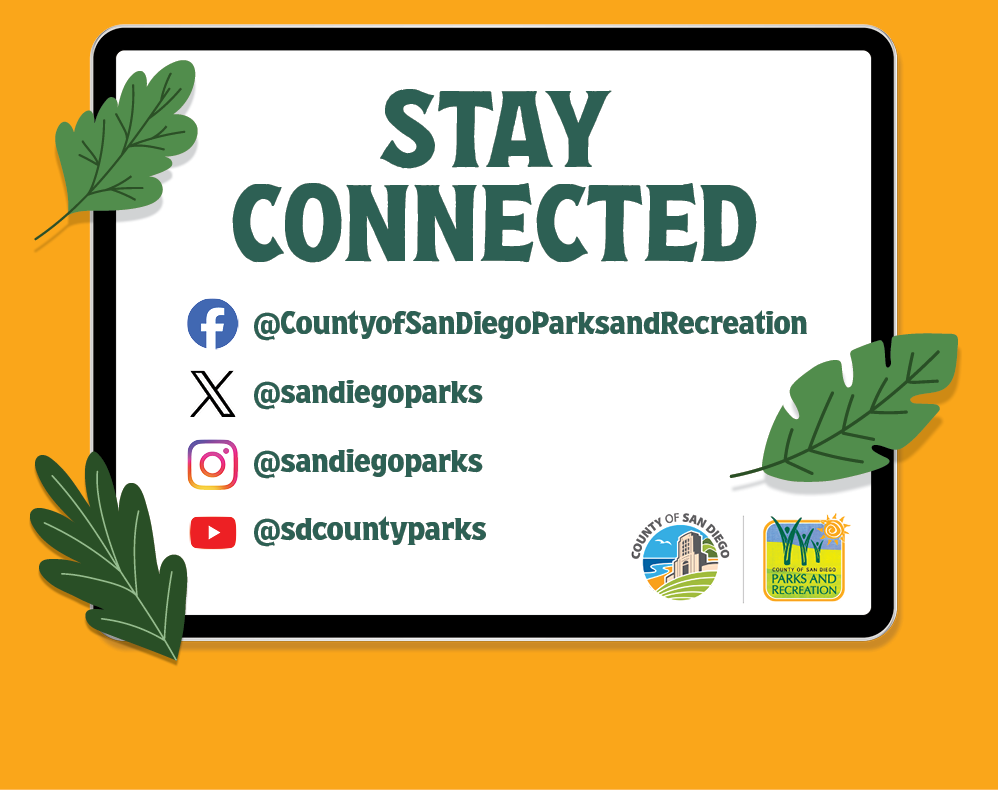 Find us where you like to get your information. Links are in the footer of this site! 