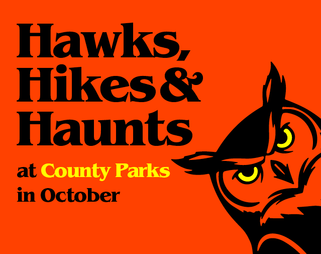 Hawks, Hikes, and Haunts at County Parks in October