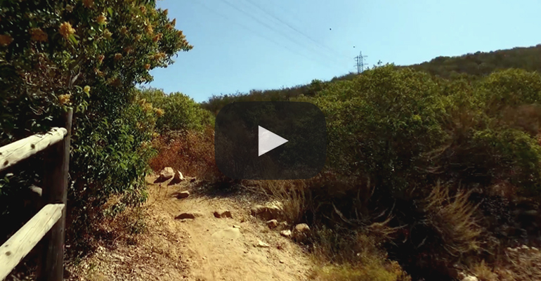 Martha's Grove Virtual Hike