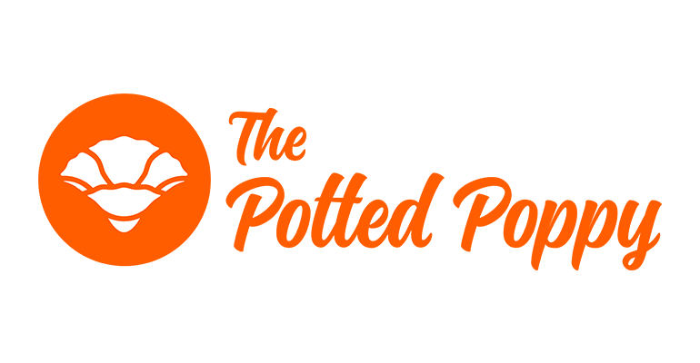 The Potted Poppy
