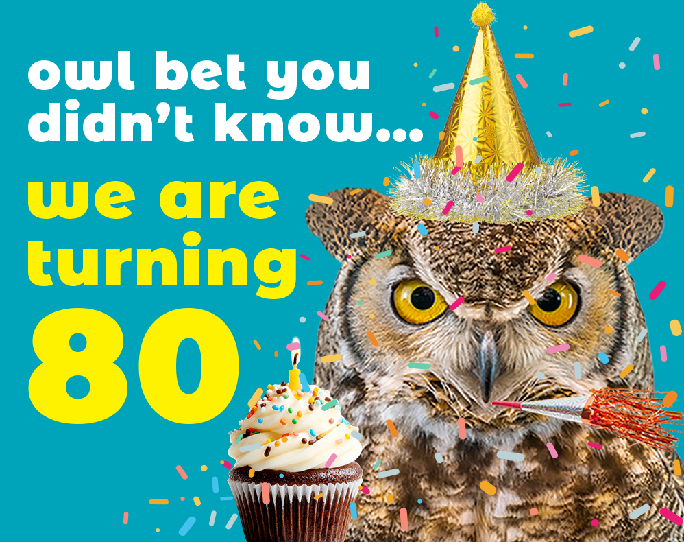 Owl in a party hat saying Owl bet you didn't know we are turning 80
