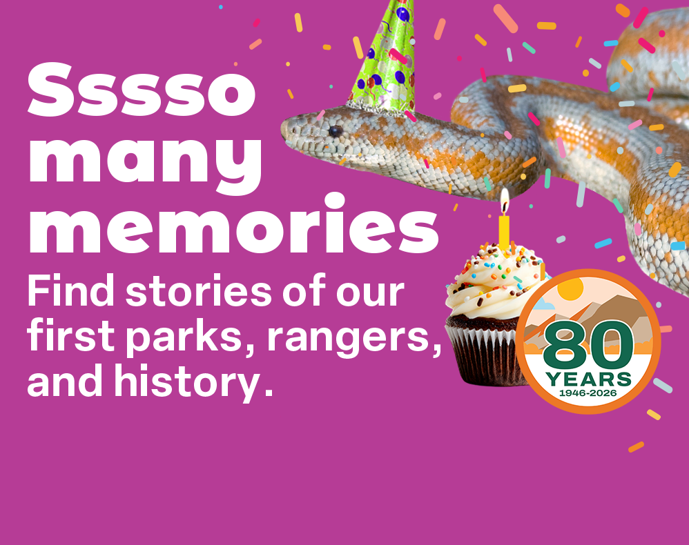 Rosy boa saying "Ssssso many memories"