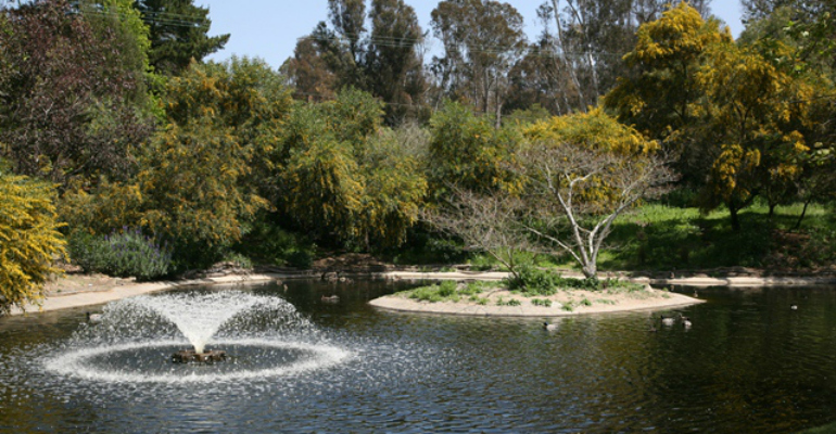 san dieguito 3