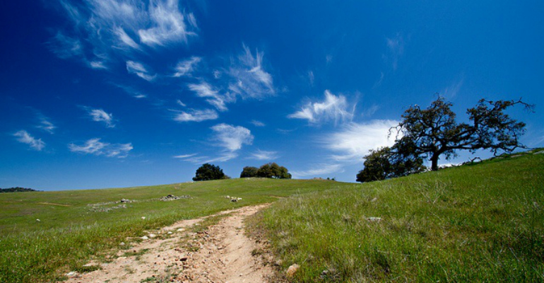 Santa Ysabel Preserves