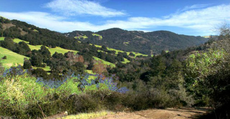 Santa Ysabel Preserves