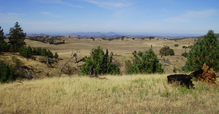 Santa Ysabel Preserves