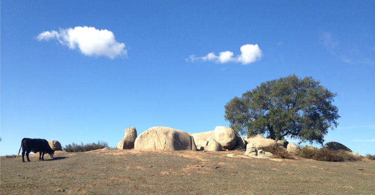 Santa Ysabel Nature Center Grand Opening
