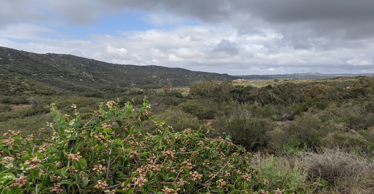 Hellhole Canyon 1