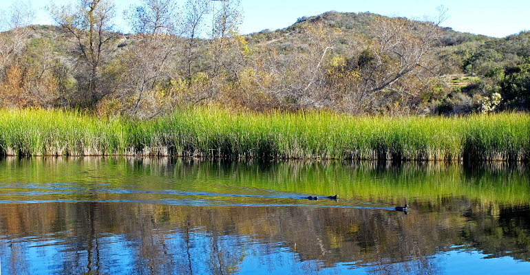los pen pond