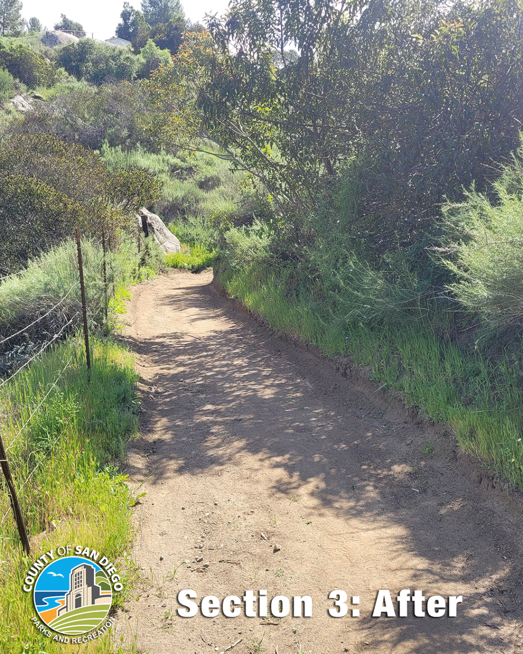 Section 3 AFTER restoration showing wider, stabilized trail