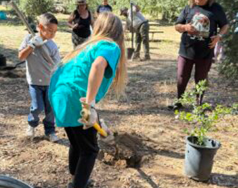 Dos Picos Gramping Tree Planting