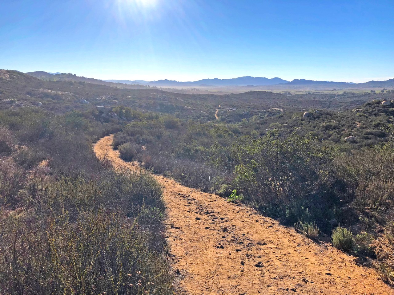 old-survey-road-97-ramona-grasslands-preserve (28)
