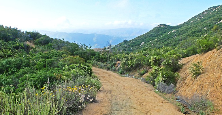 warrior-hike-el-capitan-preserve-trail (8)