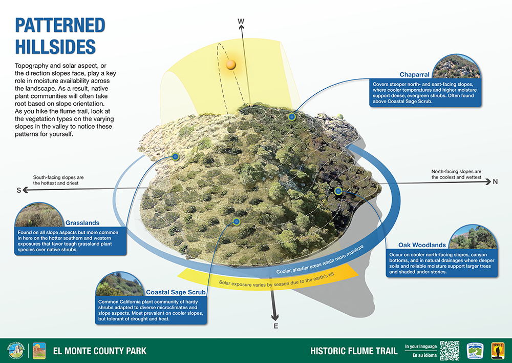 Flume trail interp panel reference image - shows how direction of slopes determines plant communities