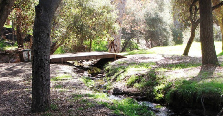 Bridge over a creek surrounded by trees