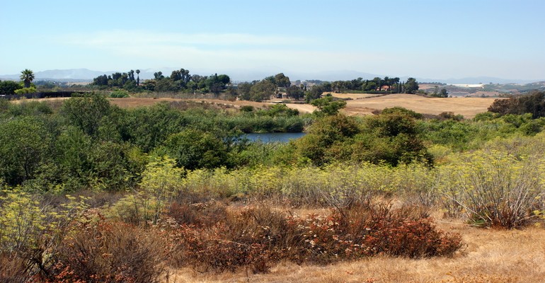 View overlooking the different habitats including wetlands and chaparral