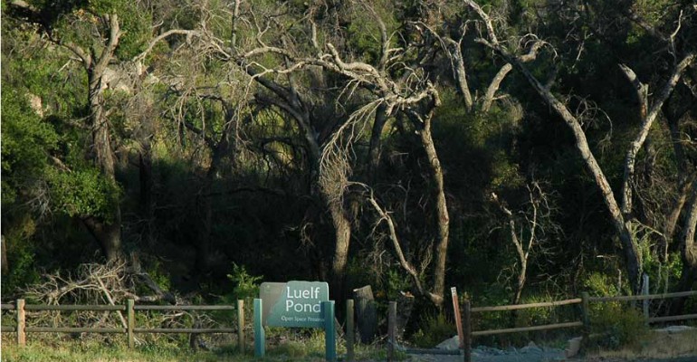 Sign of Luef Pond by a trail entrance
