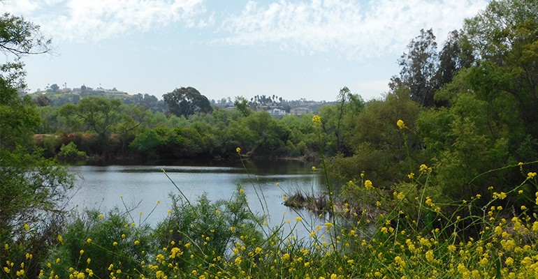 morrison-pond-3