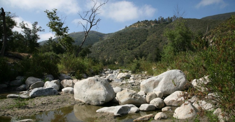 WildernessGardens_3