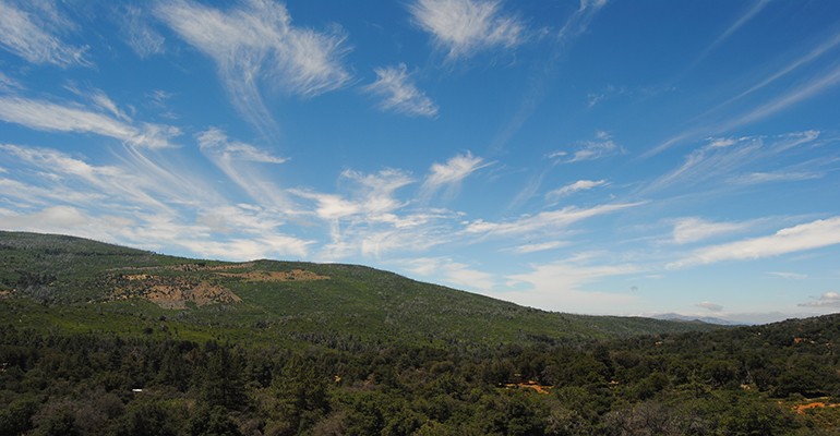 View overlooking the forest and mountain meadows