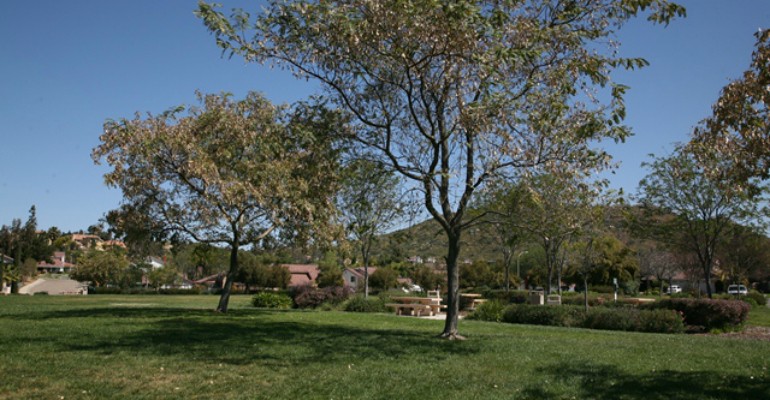 Woodhaven_3