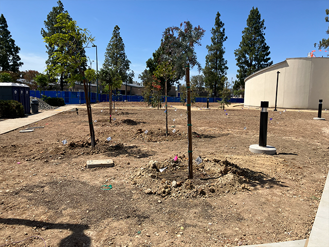 Exterior lighting, irrigation and tree planting.