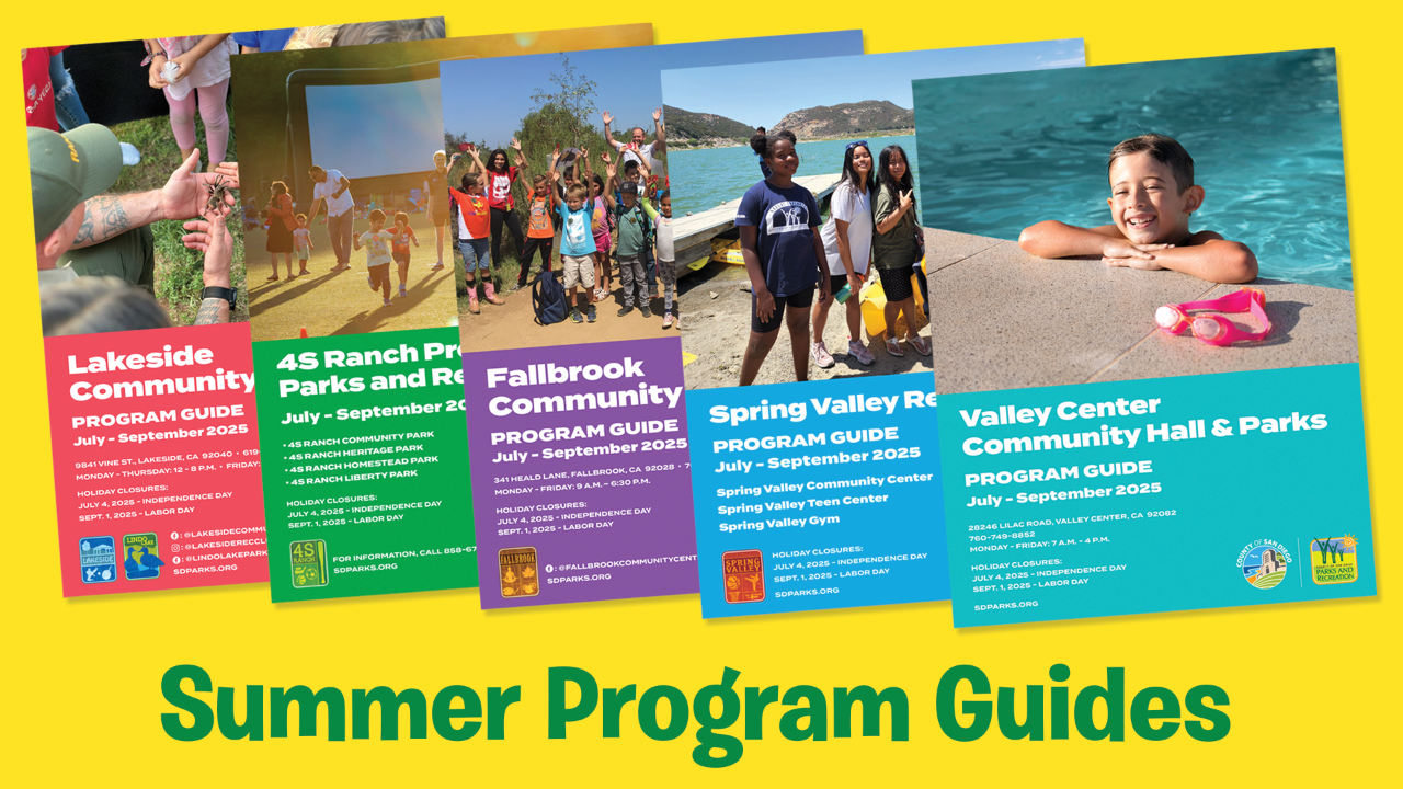 Summer 2025 Program Guides