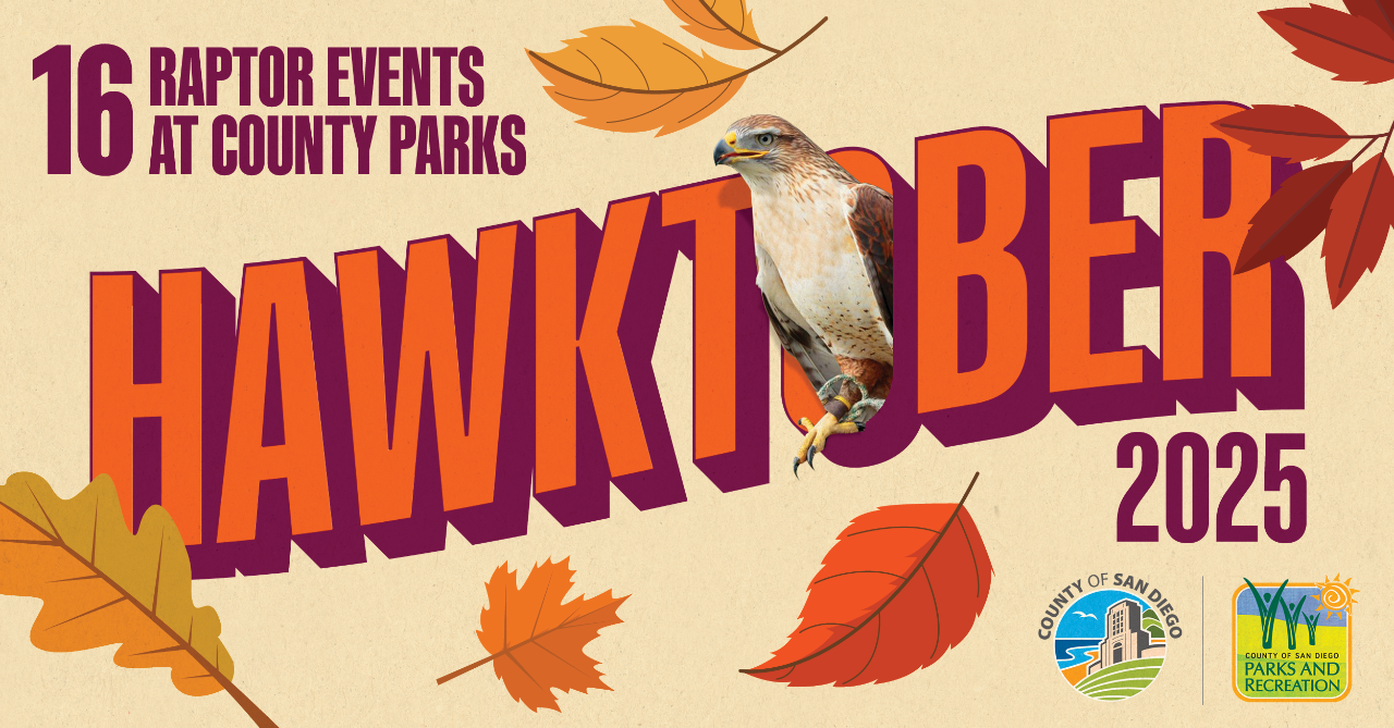 Hawktober 2025 - 16 Raptor Events at County Parks - showing a red tailed hawk inside the "o" with fall leaves all around
