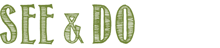 See_and_Do